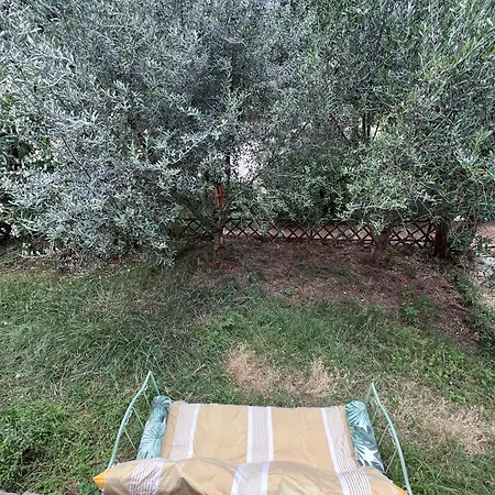 Bed & Breakfast To A Book House In Corsica - D'hotes Oletta (Corsica)