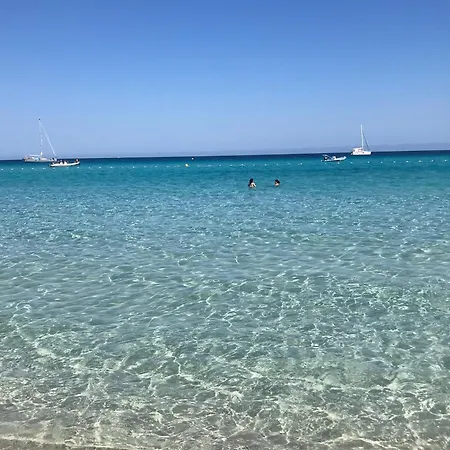 To A Book House In Corsica - D'hotes