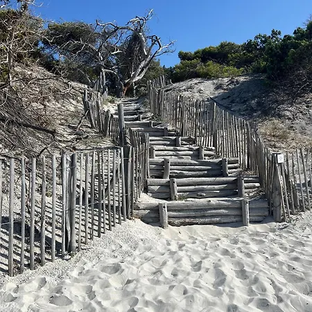 Bed & Breakfast To A Book House In Corsica - D'hotes *