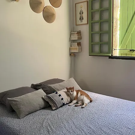 Bed & Breakfast To A Book House In Corsica - D'hotes Oletta (Corsica)