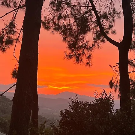 To A Book House In Corsica - D'hotes Oletta (Corsica)