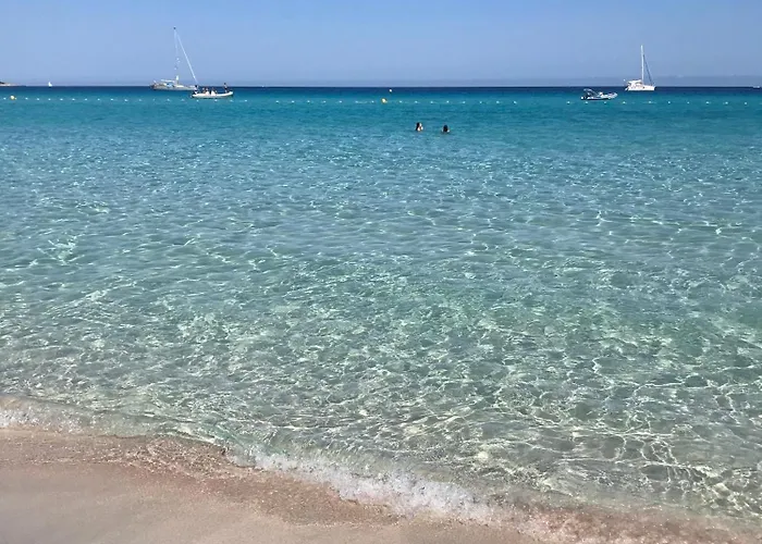 B&B To A Book House In Corsica - D'hotes 올레타