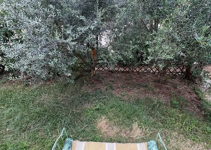 B&B To A Book House In Corsica - D'hotes 올레타