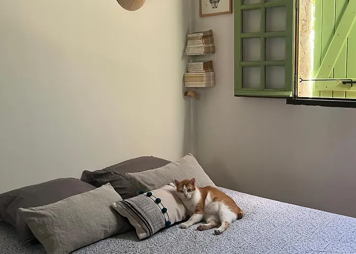 B&B To A Book House In Corsica - D'hotes 올레타