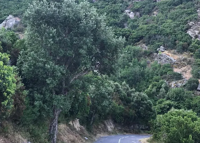 To A Book House In Corsica - D'hotes * 올레타