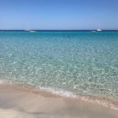 Bed & Breakfast To A Book House In Corsica - D'hotes Oletta (Corsica)