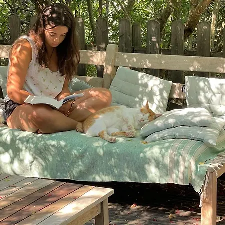 To A Book House In Corsica - D'hotes Bed & Breakfast *