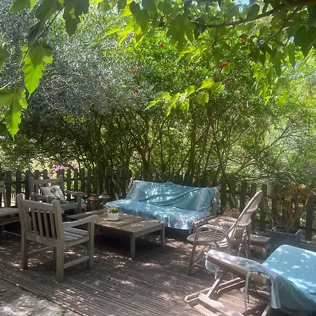 To A Book House In Corsica - D'hotes اوليتا