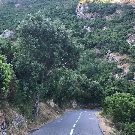 To A Book House In Corsica - D'hotes * Oletta (Corsica)