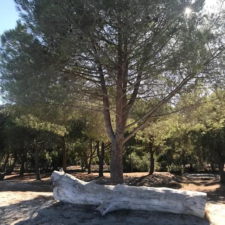 فندق مبيت وإفطار To A Book House In Corsica - D'hotes