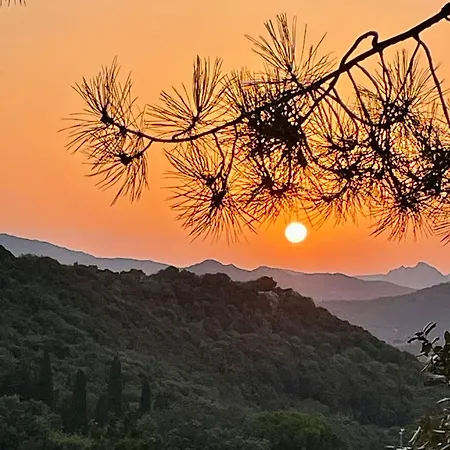 To A Book House In Corsica - D'hotes