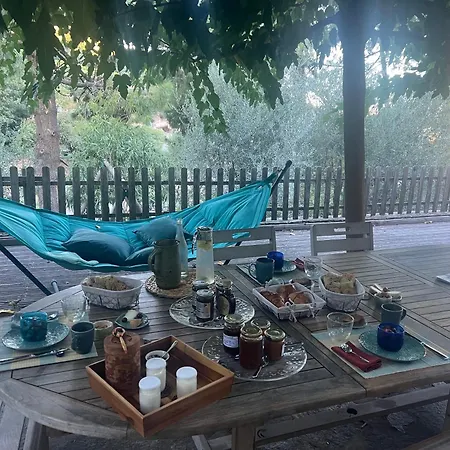 To A Book House In Corsica - D'hotes Oletta (Corsica)