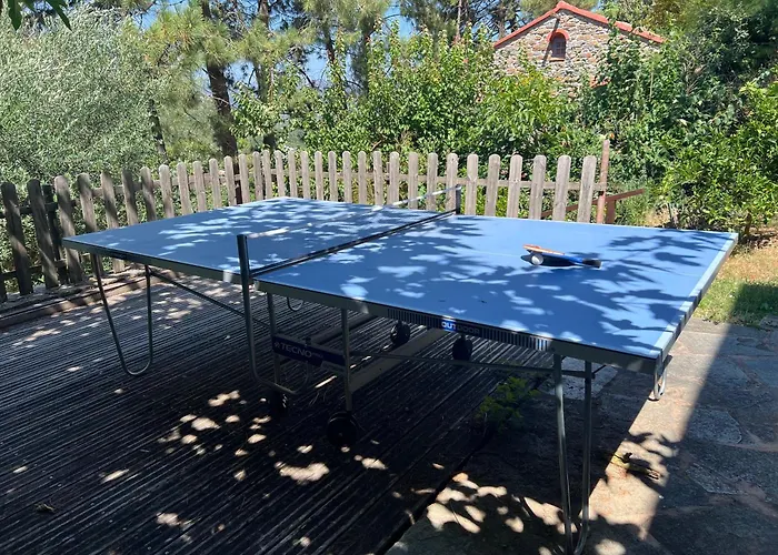 ベッド・アンド・ブレックファスト To A Book House In Corsica - D'hotes *