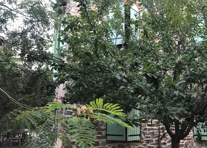 לינה וארוחת בוקר To A Book House In Corsica - D'hotes *