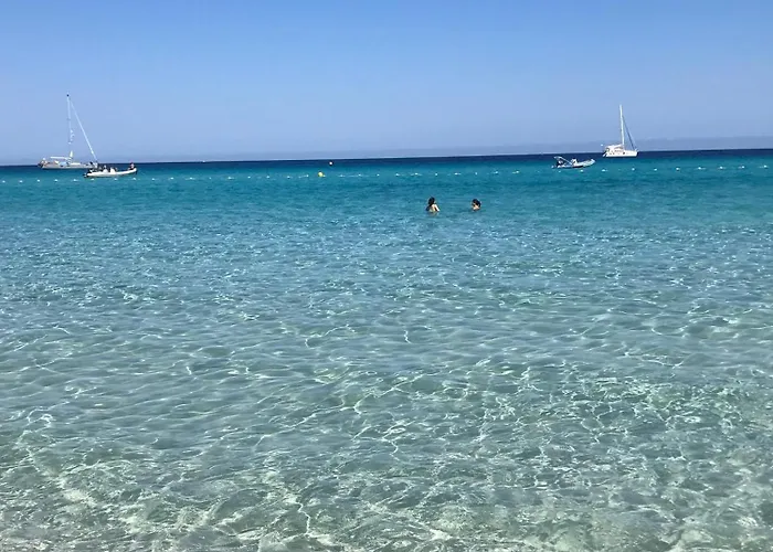 To A Book House In Corsica - D'hotes