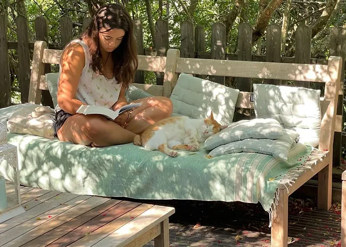 To A Book House In Corsica - D'hotes ベッド・アンド・ブレックファスト *