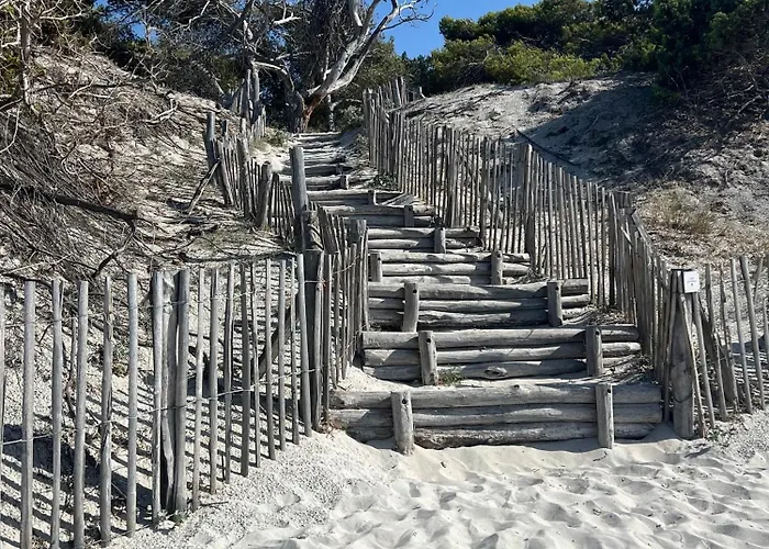 ベッド・アンド・ブレックファスト To A Book House In Corsica - D'hotes *