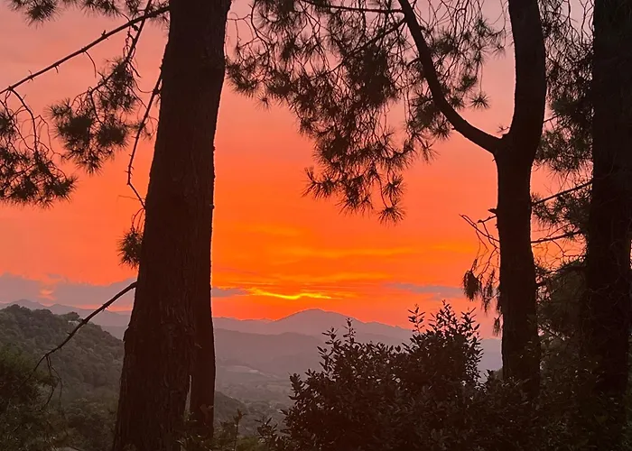 To A Book House In Corsica - D'hotes オレッタ