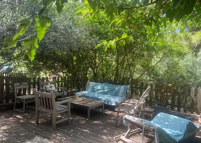 To A Book House In Corsica - D'hotes אולטה