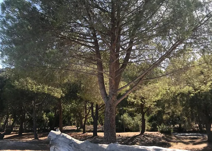 ベッド・アンド・ブレックファスト To A Book House In Corsica - D'hotes