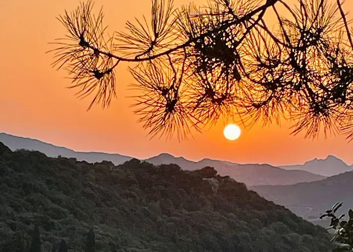 To A Book House In Corsica - D'hotes